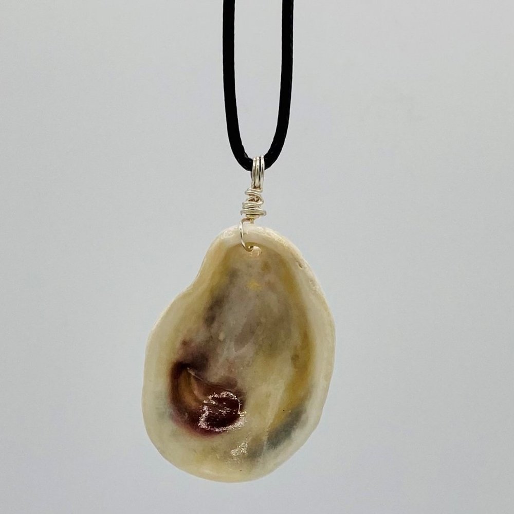 Shell Pendant on 20" Black Cord Necklace; B20-16
